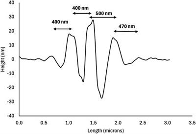 Formation of linear arrays of holes in self-assembled collagen films